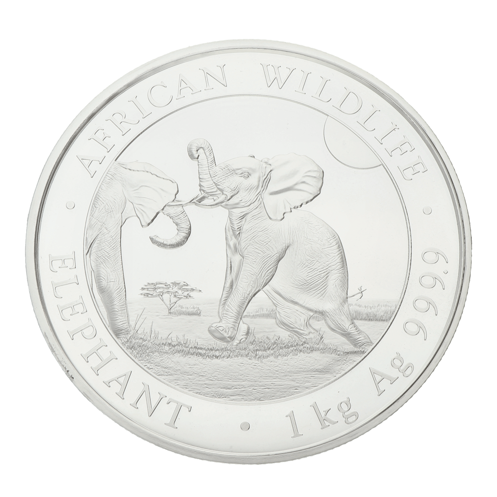 Éléphant somalien 1 kg argent 2025