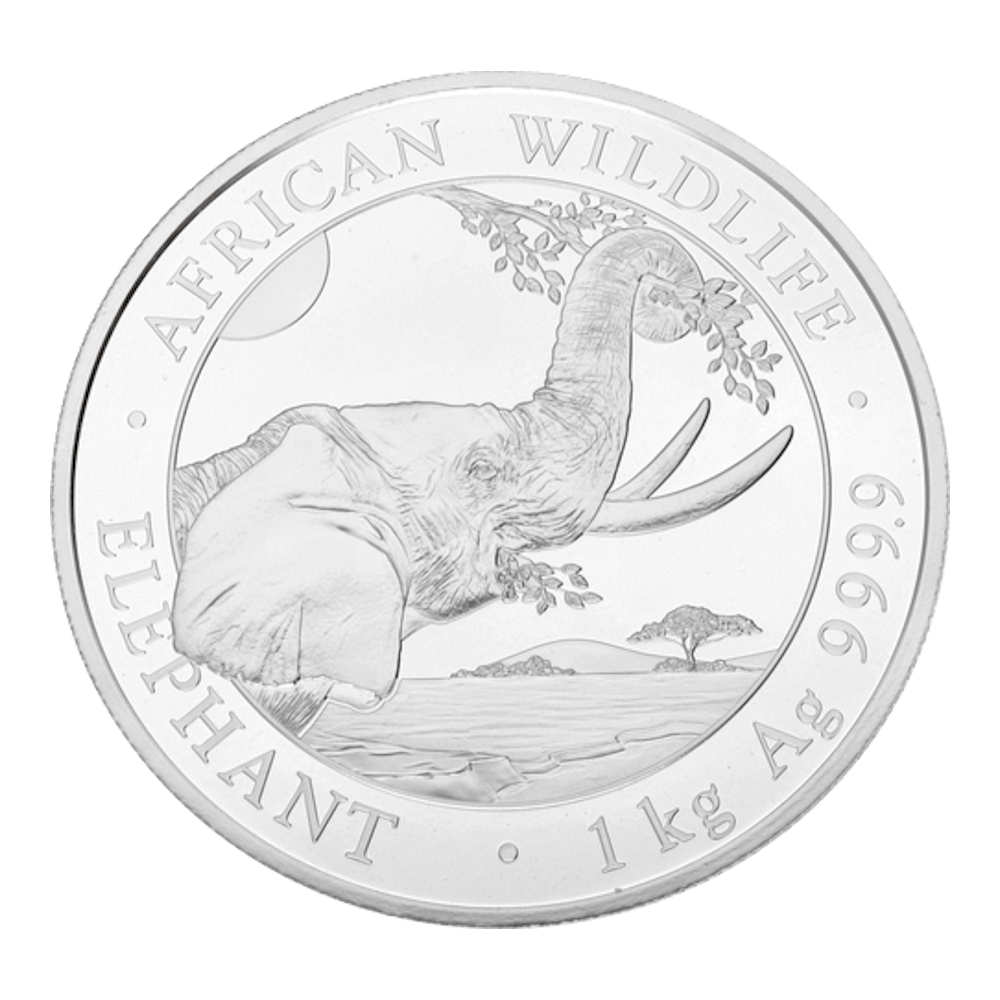 Éléphant somalien 1 kg argent diverses années
